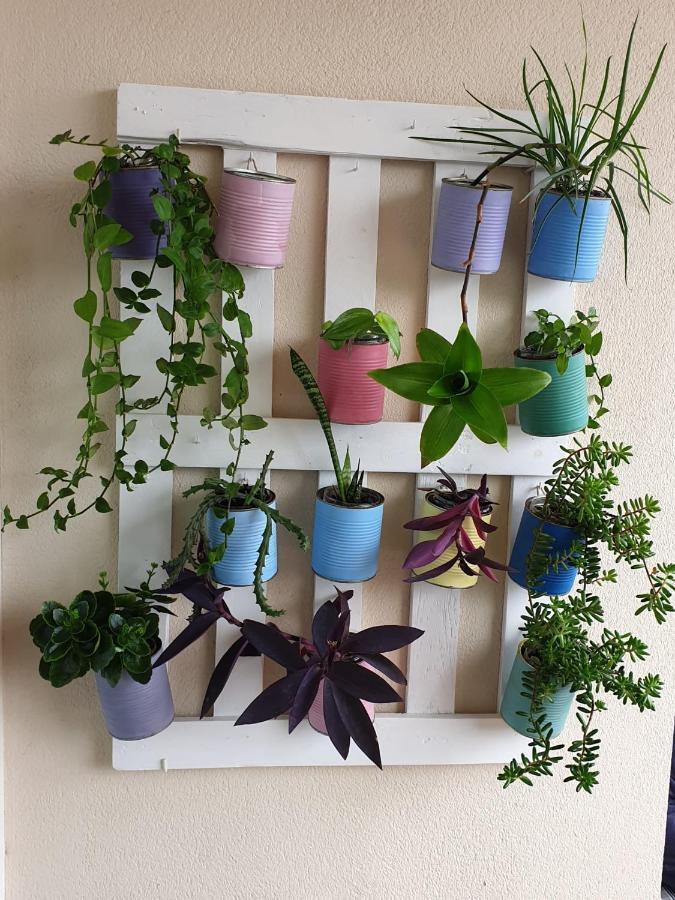 Apartamento La Figuereta, イスラ・クリスティナ エクステリア 写真